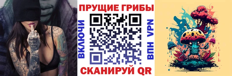 Галлюциногенные грибы GOLDEN TEACHER  Трёхгорный 